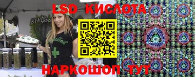 дмт Камышлов