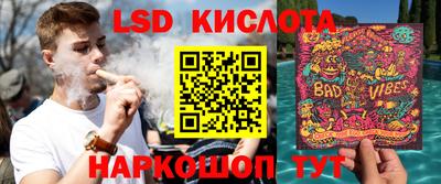 дмт Камышлов