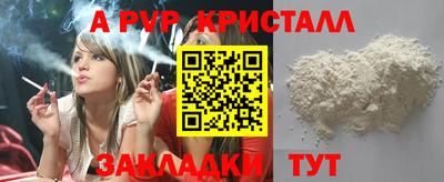 2c-b Кингисепп