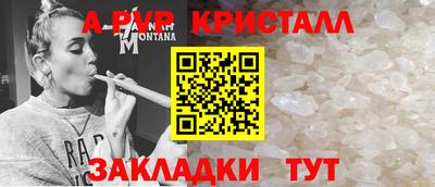спиды Кимры