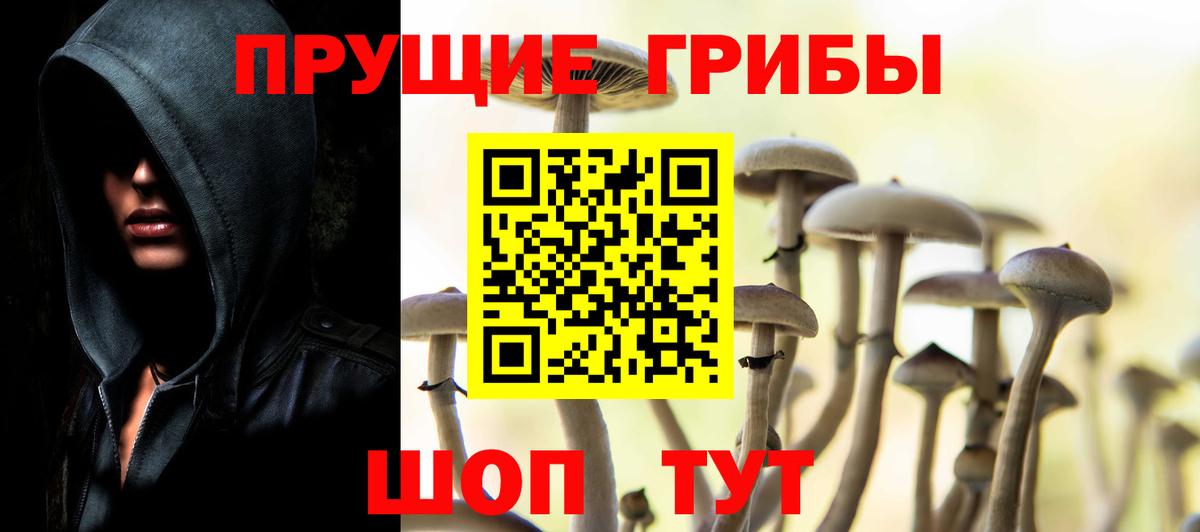 Псилоцибиновые грибы Magic Shrooms Комсомольск-на-Амуре